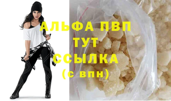 стафф Гусев