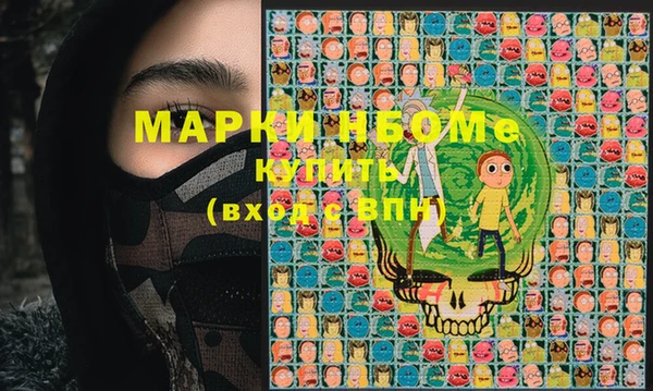 шишки Горняк