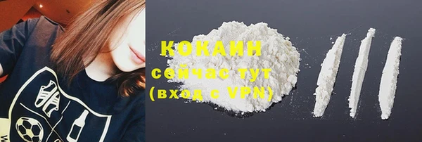 стафф Гусев