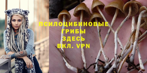 стафф Гусиноозёрск