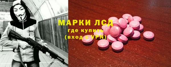 прущие грибы Горно-Алтайск