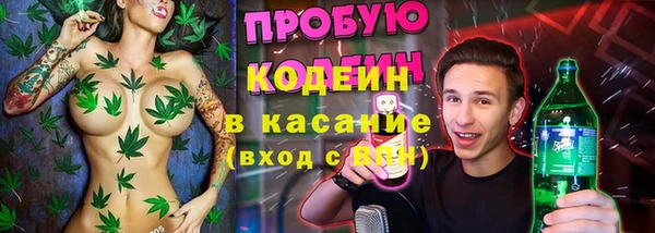 стафф Гусев