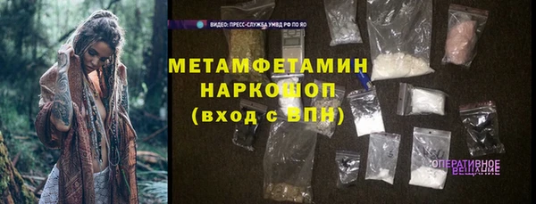 стафф Гусев