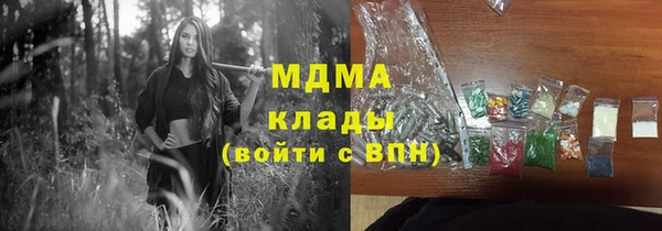 стафф Гусев