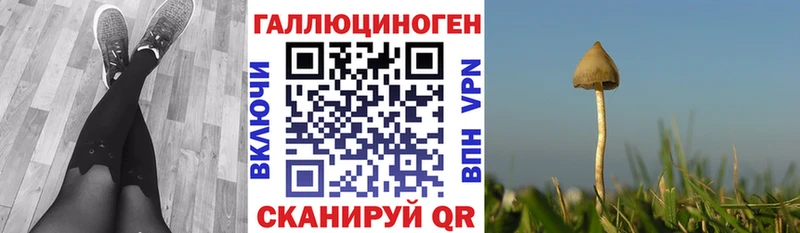 Галлюциногенные грибы Cubensis Сокол