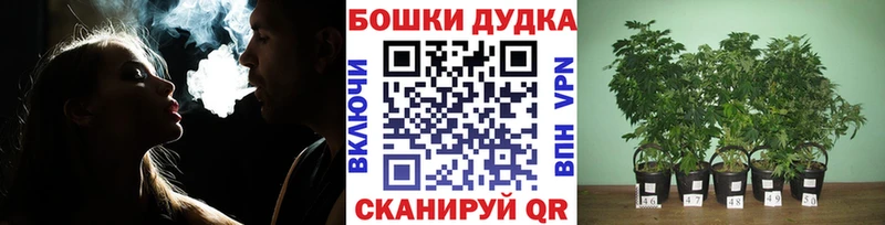Марихуана Ganja  Купить где  Сокол 